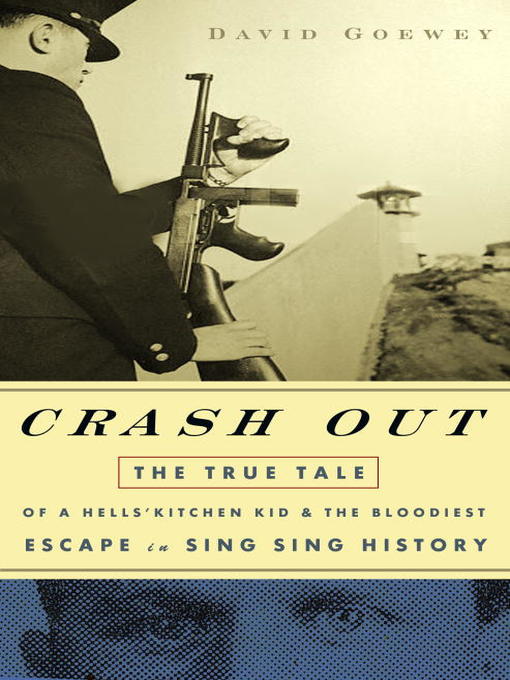 Title details for Crash Out by David Goewey - Available